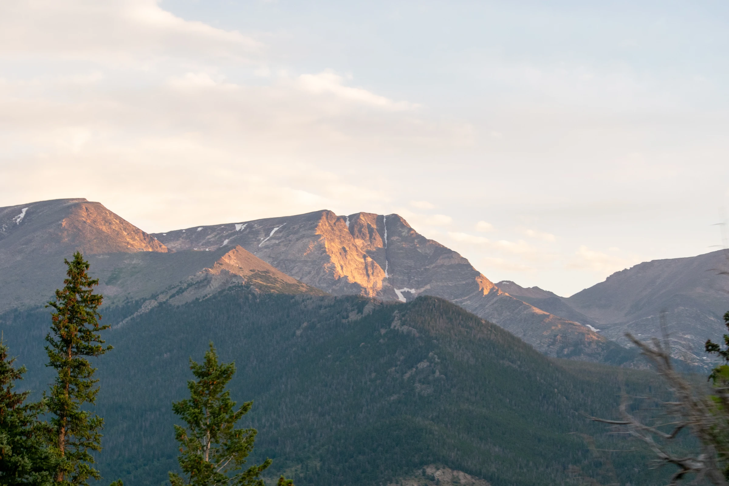 Evening light on a broad alpine ridge, with pale clouds above and evergreen trees in the foreground.
