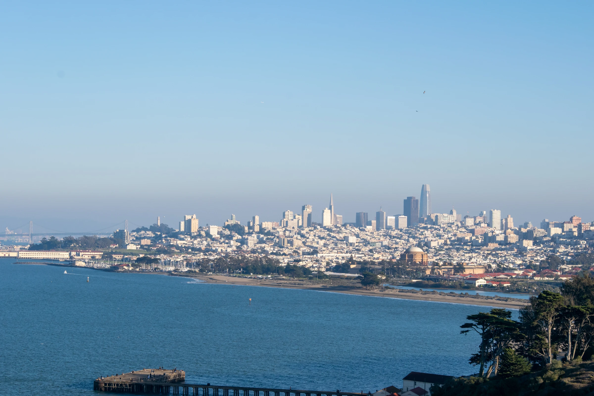 San Francisco's skyline above the bay, with a pier and dark trees in the foreground.